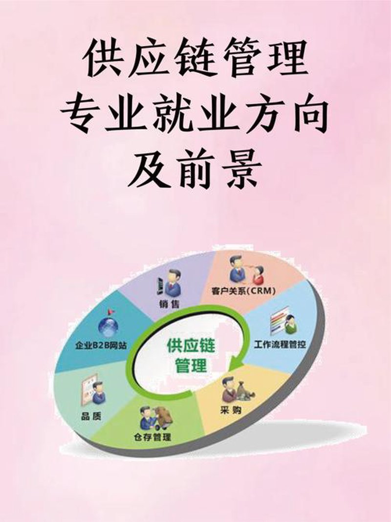 了解供应链管理,开启湖南企业腾飞之路——选购指南